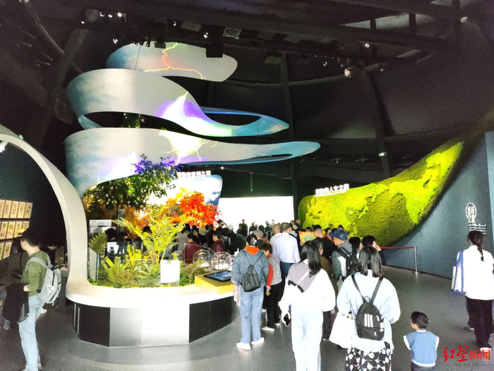 走进植物馆,首先来到的区域就是植物之旅科普馆.