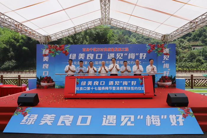 广州从化区杨梅节启动:绿美良口,遇见"梅"好