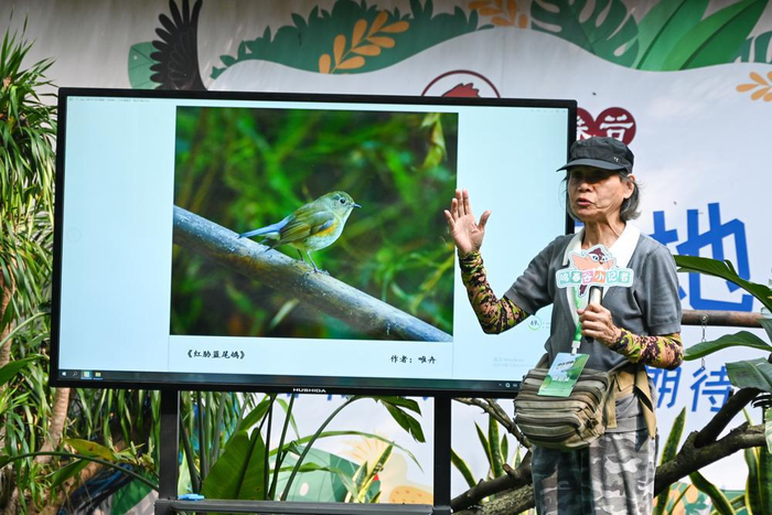 寻觅美羽,摄说白云,白云山鸣春谷与校园共建科普活动成功