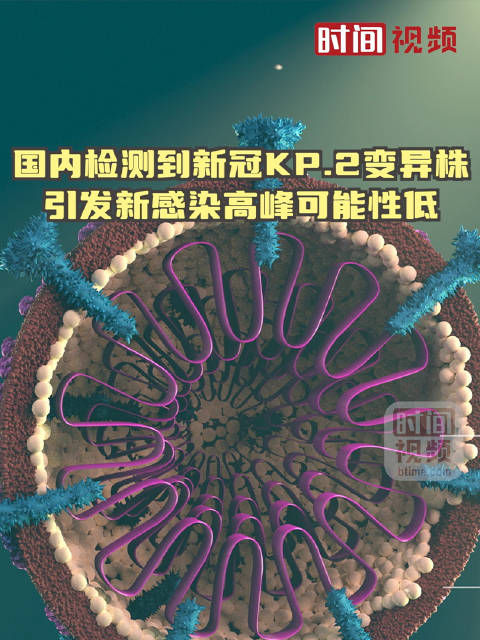 国内检测到新冠kp.2变异株 引发新感染高峰可能性低