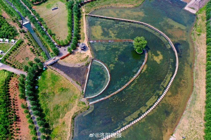 近年来,孟津区城关镇依托九泉水库蓄水优势