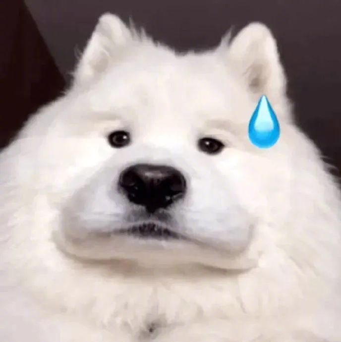 热门微信表情包:10000个委屈 拿图请顺便吱一声 很难有动力发图了