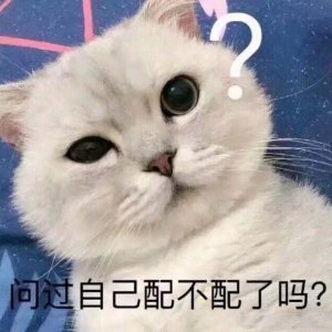 快来分享你家喵星人的迷惑行为表情包!