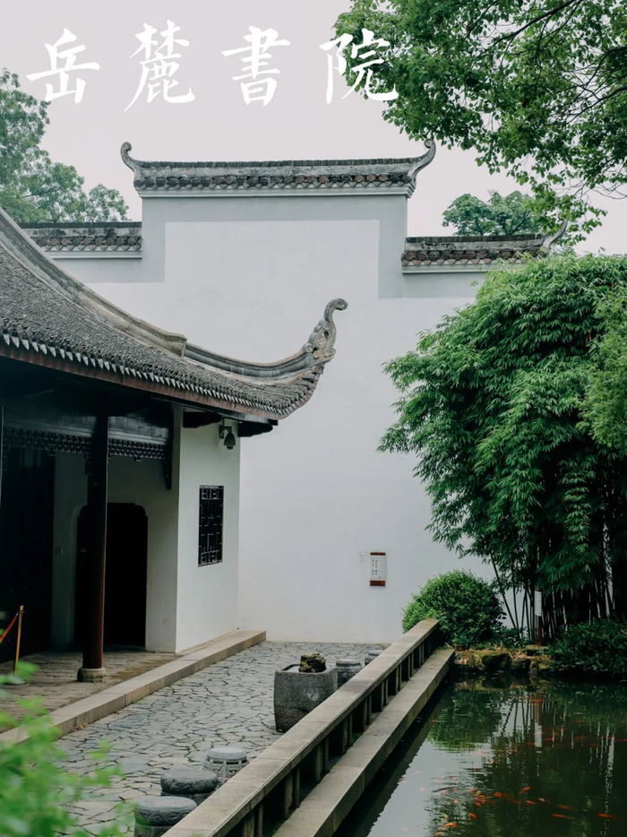 总要来园林逛逛的江南园林甲天下,苏州园林甲江南理水,叠山,花木,建筑