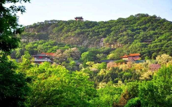 门票半价|红叶谷景区|半价|门票_新浪新闻