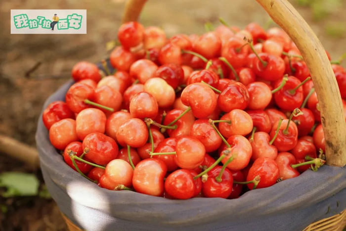 西安发布029摄影公社 余渊