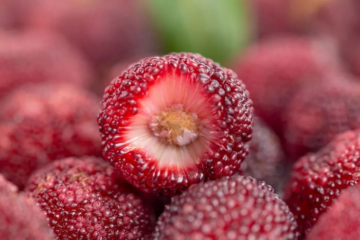 来晋城体验"梅"好时光——"果"然有趣