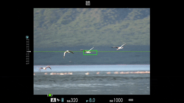 1亿像素高画质 高速智能对焦 富士gfx100s ii中画幅无反相机行摄非洲