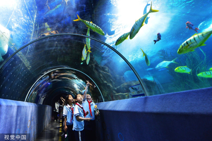 青岛小学生海洋科普研学 迎"国际博物馆日"