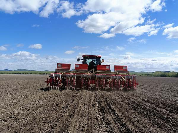 黑龙江建三江旱田播种接近尾声