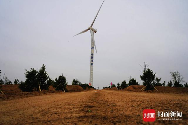 防沙治沙是一个滚石上山的过程，必须持之以恒。图为一处造林点。摄影 封面新闻记者 卢荡