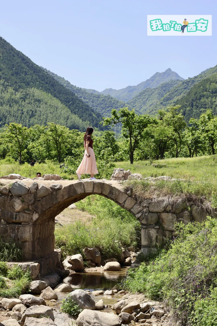 西安发布029摄影公社@菠萝