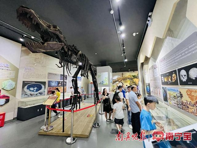 广西自然博物馆深受孩子们喜爱