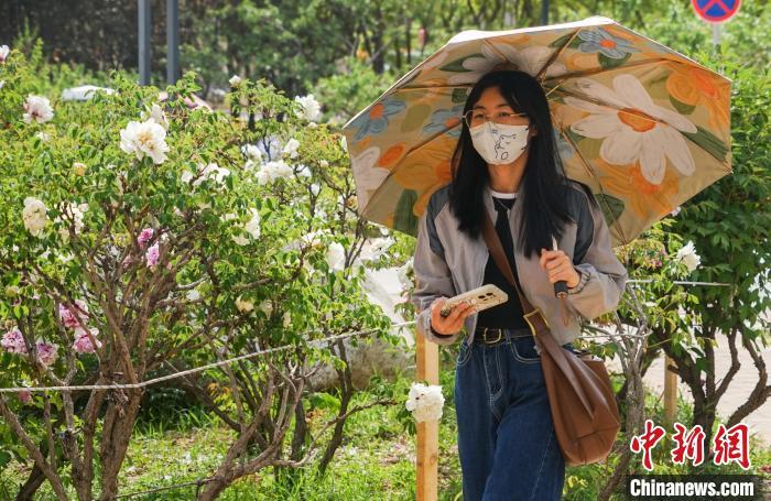 内蒙古民族大学校花图片