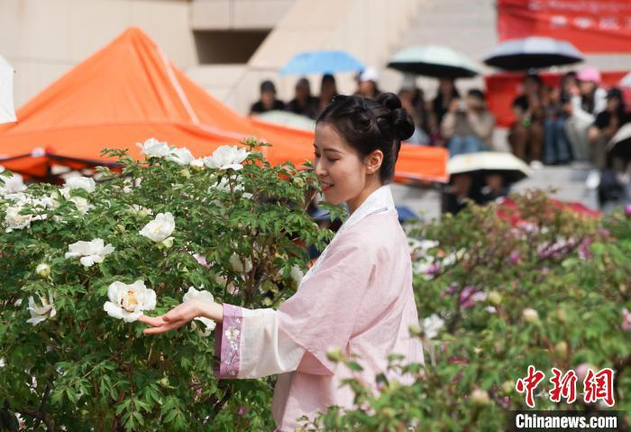 内蒙古民族大学校花图片