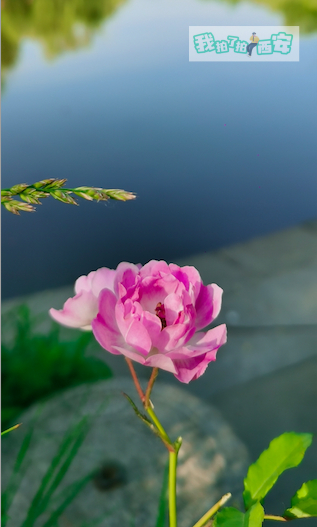 西安发布029摄影公社 史晓斌