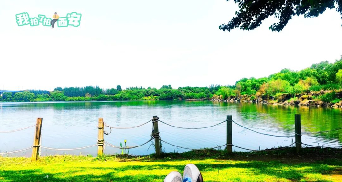 西安发布029摄影公社@傲尘