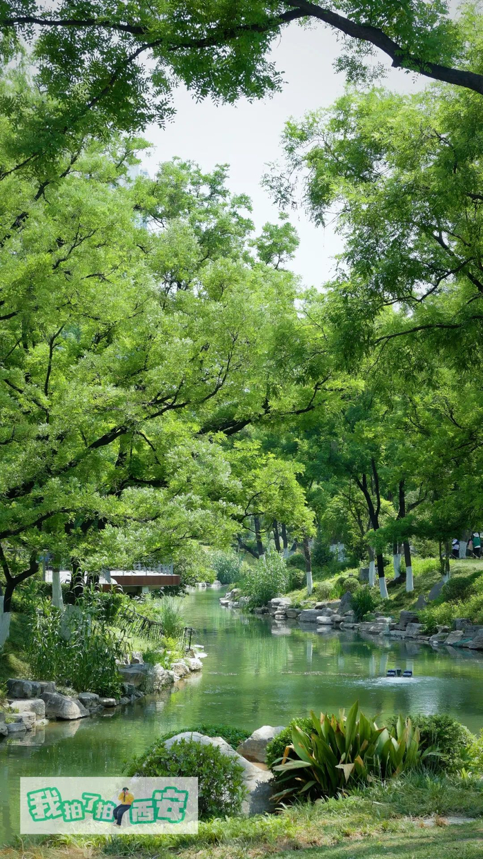 西安发布029摄影公社 颜廷臣