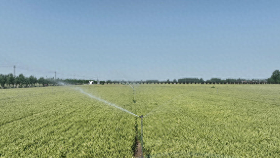 河南项城多举措护航夏粮丰产丰收