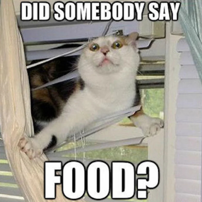 "fat and happy"可不是"胖了就开心"的意思啊喂!