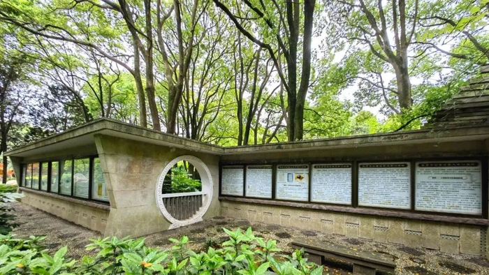 文化长廊湖景木屋垂钓台在啬园拥抱绝美湖景,倚岸垂钓,远离城市的喧嚣