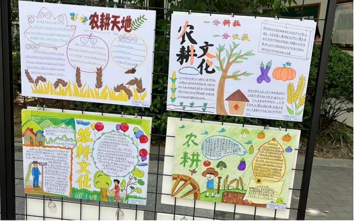 项目四:农耕文化小报在农耕文化小报创作中,孩子们通过绘画,手工