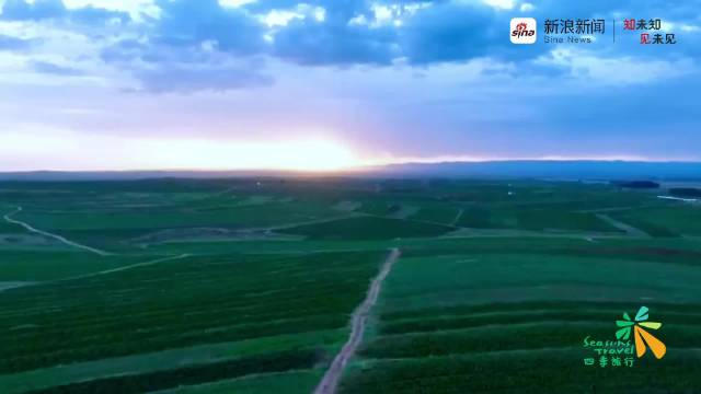 内蒙古武川县:草已绿 花正开