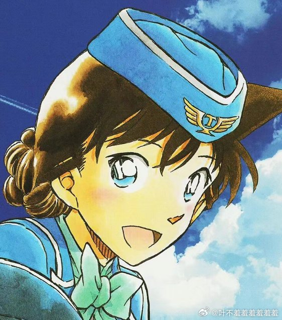 小兰生日快乐 毛利兰 梦中情姐 …|毛利兰|名侦探柯南_新浪新闻