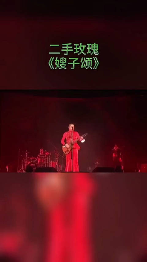 二手玫瑰《嫂子颂》,看歌手前先温习一下,希望二手不要被淘汰!