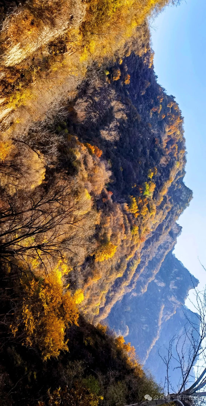 山西省_新浪新闻