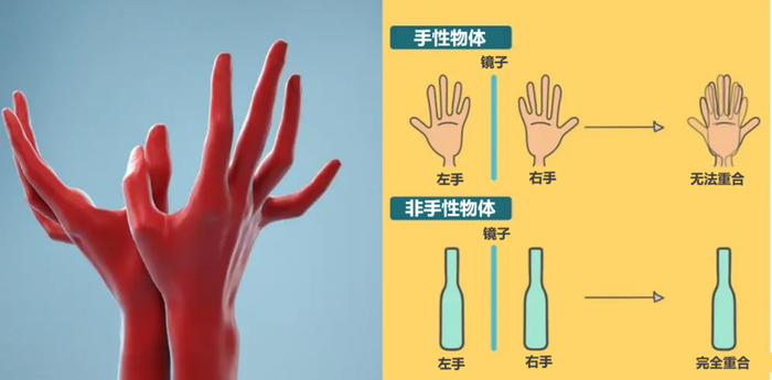图2. 人的左手和右手呈镜像对称且不可重合，具有手性；瓶子呈轴对称，没有手性。