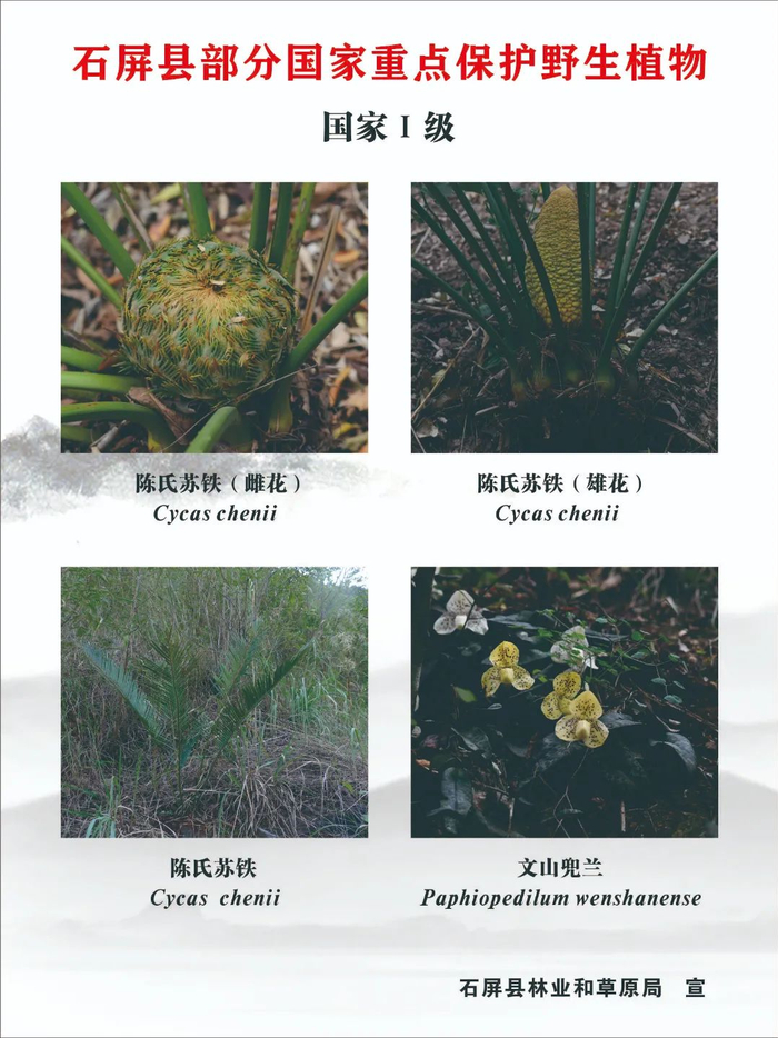 路边的野花不要采!会判刑的!