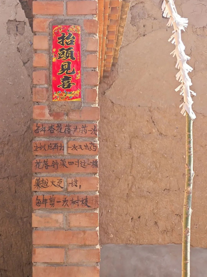 一位过世农村老人,留下满院墙的心事