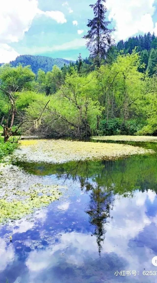 成都出发2h直达人间天堂!这条最美铁路风景不输阿勒泰!