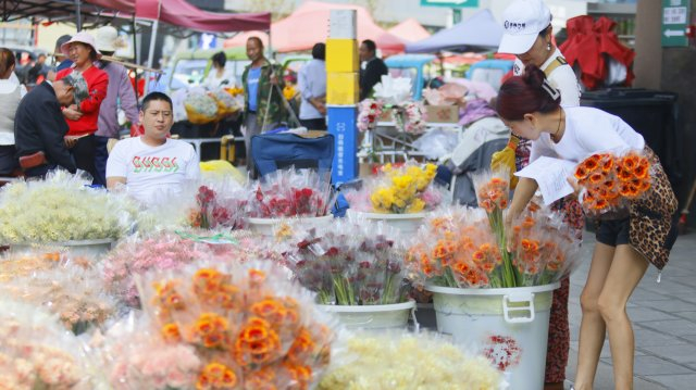 随着"520情人节"临近,昆明市呈贡区斗南花卉交易市场迎来了销售旺季.