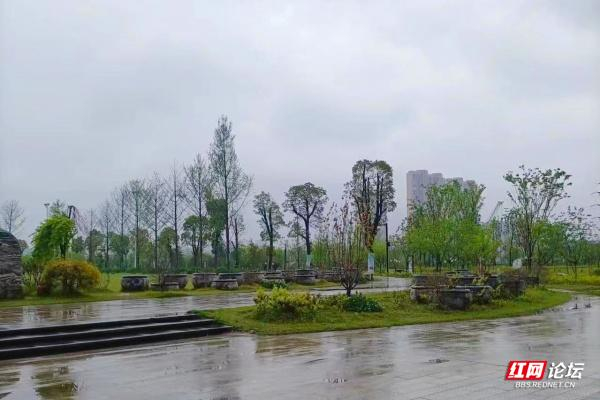 雨中漫步"潇湘明珠"——冷水滩宋家洲公园