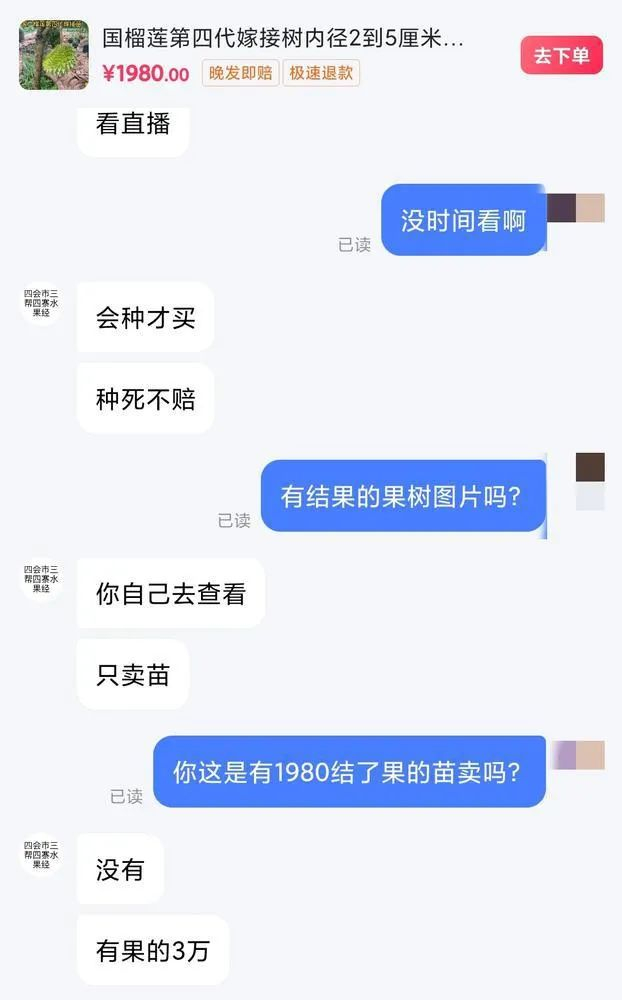 1980元一棵的苗，商家说种死不赔。