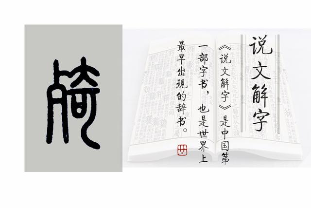 《说文解字》第802课:细说“死”字,你真的了解“死”吗?|广韵·模韵|释名·释丧制|集韵·模韵|玉篇·歹部|说楚何惛王赋下_新浪新闻