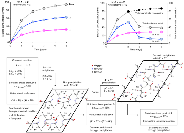 图 5. 基于硫基分子制备完全左手性二肽的实验室策略。