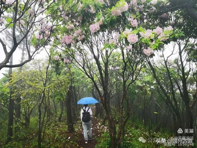 当坐进温暖舒适的车里后,我们不禁哑然失笑,在这样的天气里,我们还能