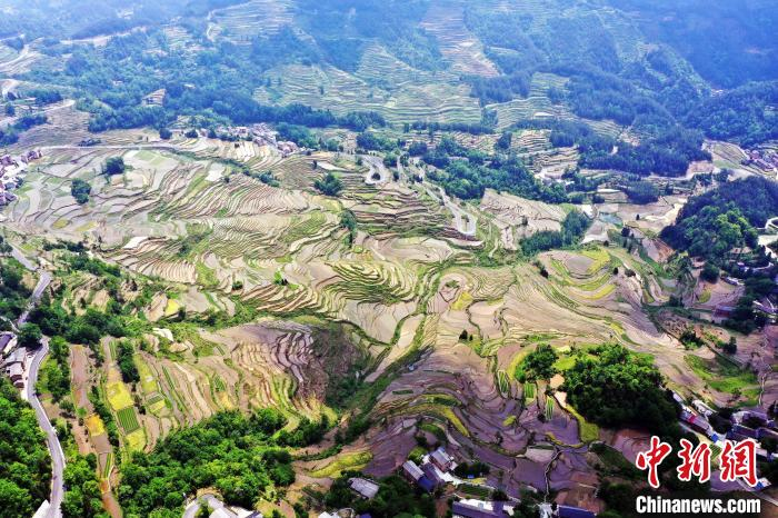 在重庆市酉阳土家族苗族自治县花田乡何家岩村,万亩高山梯田层层叠叠