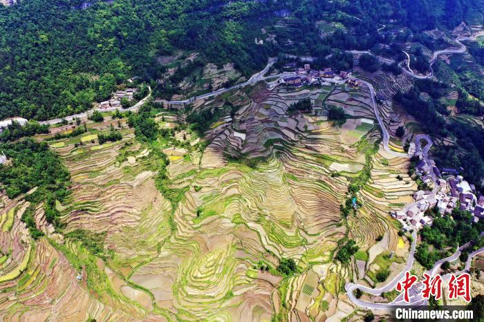 5月17日,在重庆市酉阳土家族苗族自治县花田乡何家岩村,万亩高山梯田