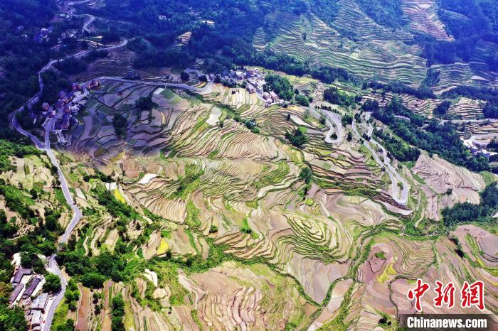 在重庆市酉阳土家族苗族自治县花田乡何家岩村,万亩高山梯田层层叠叠