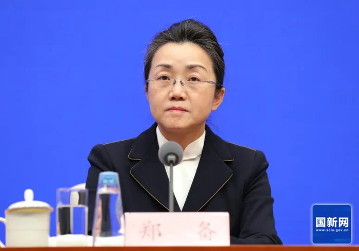 郑备（资料图 来源：国新网）