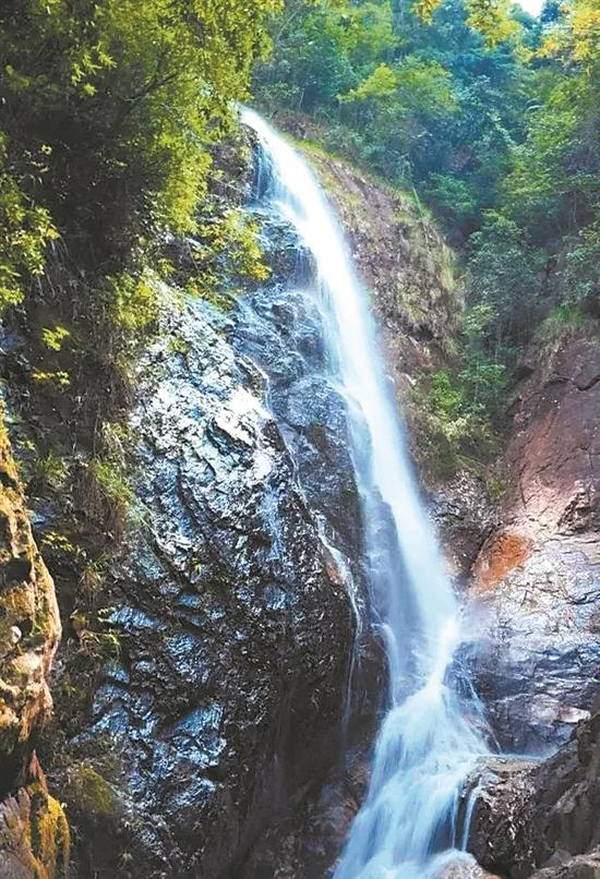 【惠州文脉·聚焦】40多万款特色农副产品"入湾出海"