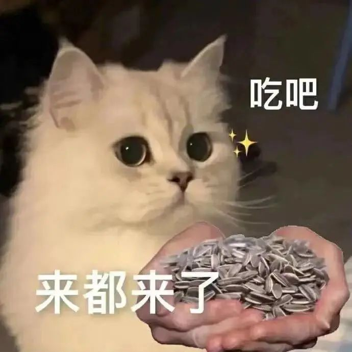 网友惊呆:真不把我们当外人!