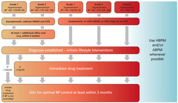 图1：血压诊断与高血压初步管理流程
