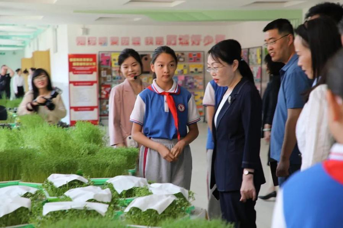 "强国有我担使命·爱国爱家薪火传"同主题说课集体研训来了!