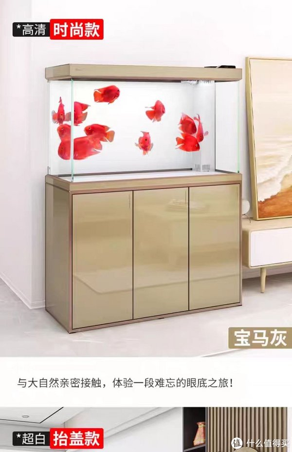 森森大型鱼缸:打造你的家庭水族乐园