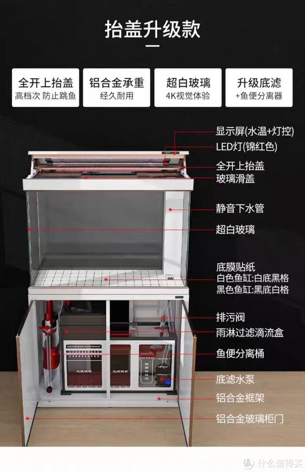 森森大型鱼缸:打造你的家庭水族乐园